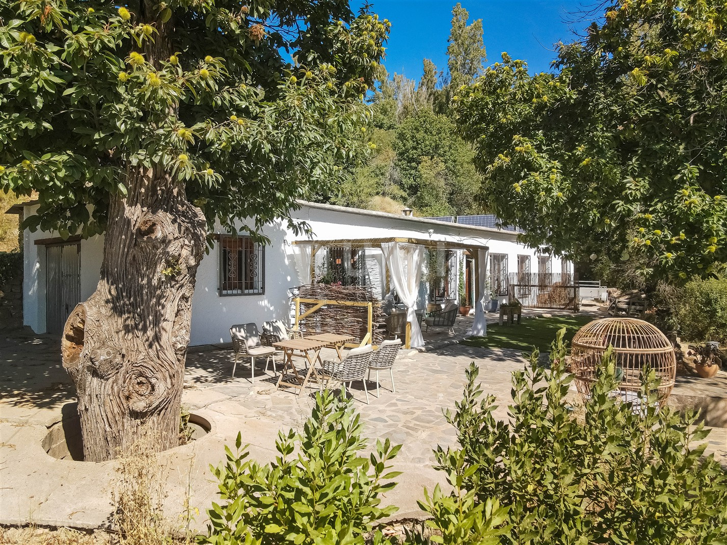 estate agents alpujarras (1)